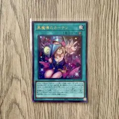 2026年最新】黒魔導のカーテン LOCH-JP003 URの人気アイテム - メルカリ