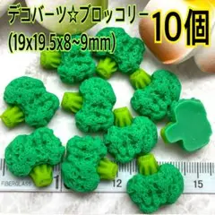 デコバーツ☆ブロッコリー10個(19x19.5x8~9mm)