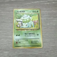 2026年最新】フシギダネ 旧裏の人気アイテム - メルカリ