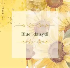 ✤Blue daisy✤様 リクエスト 2点 まとめ商品