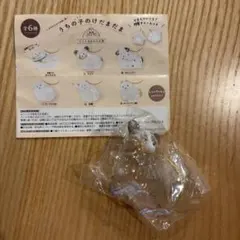 うちの子のけだまだま　チワワ　カプセルトイ
