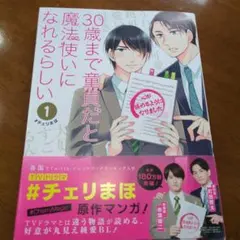 30歳まで童貞だと魔法使いになれるらしい(1)