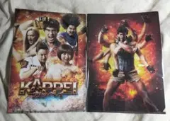 ◆映画◆『KAPPEI カッペイ』　A4クリアファイル2枚セット　伊藤英明など