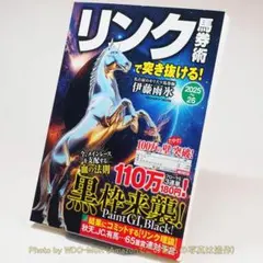 リンク馬券術で突き抜ける！／ 伊藤雨氷 (メディアボーイ)