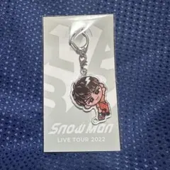 【傷ありの為値下】すのチル　アクリルキーホルダー