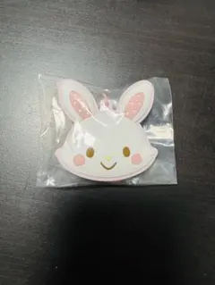サンリオ シークレットラバーミラーキーホルダー ウィッシュミーメル