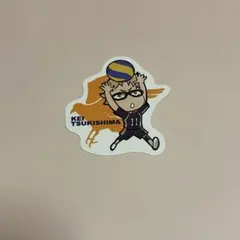 Item thumbnail for item 0c2b71ba-6fdc-429e-92e6-76f4f1a99a2a