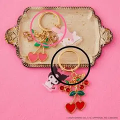 サンリオキャラクターズ⭐️きらきらフルーツチャーム BOOK 2種セット