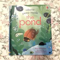 訳あり⭐︎Peep Inside the Pond しかけ英語絵本 Usborne