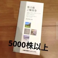 東急不動産ホールディングス 株主優待券冊子 5000株以上