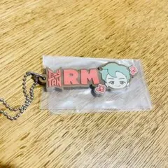 BTS 一番くじ タイニータン TinyTAN メンバーチャーム RM ナム