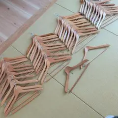 廃盤品 TRUCK FURNITURE　トラックファニチャー 木製ハンガー10本 廃盤品 TRUCK FURNITURE トラックファニチャー 木製ハンガー10本