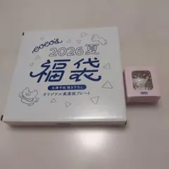【新品】Coco's 2026 夏福袋 美濃焼プレート＆グラスマーカーのサムネイル