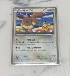 セブンイレブン限定！ポケモンカードBWスペシャルキラカード『イーブイ