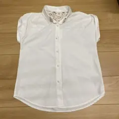 Item thumbnail for item a82f2795-72f5-48a4-892b-acfb680d8a4f