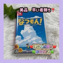 美品 ✨ 早い者勝ち❣️ 夏を満喫!Switch なつもん! アドベンチャー✨