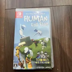 美品！ヒューマン フォール フラット
