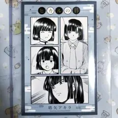 2026年最新】塔矢アキラ カードの人気アイテム - メルカリ