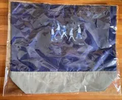 Item thumbnail for item febb4759-a28f-4d2b-9645-16e4fb28889d