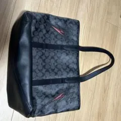 Item thumbnail for item f07fd4e6-d29d-47c2-88af-2c93a09f83da