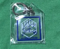 モンテディオ山形 アクスタ