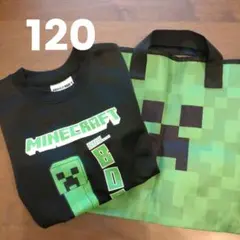 Minecraft クレイパー トレーナー 120