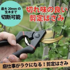 2026年最新】園芸用ばさみ剪定鋏 CYRUSの人気アイテム - メルカリ