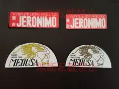 Item thumbnail for item d21fc66c-6dfb-4a01-9e18-7925ee5e395e