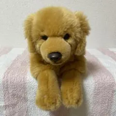 668 ファースト社 ぬいぐるみ 犬 いぬ 垂れ耳 - メルカリ