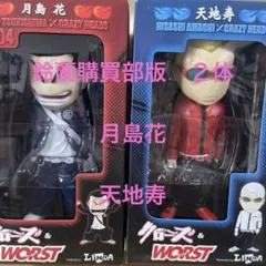 クローズ＆WORST FBG 花澤三郎 月島花 金銀セット - メルカリ