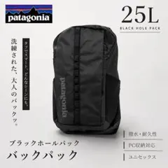 新品【25L】Patagonia パタゴニア ブラックホールパック 黒 リュックのサムネイル