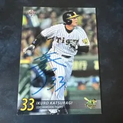 Item thumbnail for item cf691020-3b2f-4549-8bf0-11ebee3707bb