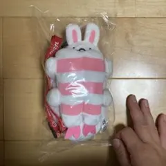 スシロー ぬいぐるみ だっこずし パスケース