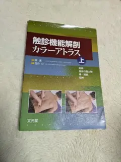 2026年最新】鍼灸師 柔道整復師のための局所解剖カラーアトラスの人気