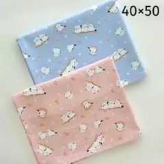 給食ナフキン　ランチョンマット　シマエナガ　　ブルー&ピンク　ハンドメイド