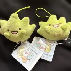 Item thumbnail for item a6c51c9d-ee4d-484d-bc4f-45e800706d8e