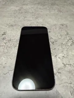 Apple iPhone 14 Pro シルバー simフリー ※最終値下げ