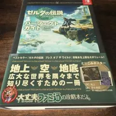 ゼルダの伝説 ティアーズ オブ ザ キングダム パーフェクトガイド