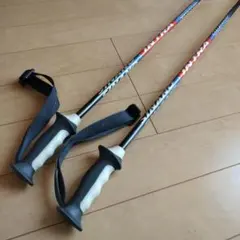 シナノ　スキーストック　120cm カーボン