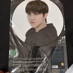 SEVENTEEN セブチ FOLLOW TO JAPAN ウォヌ 缶バッジ - メルカリ