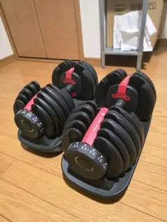 ダンベル 可変式 24kg