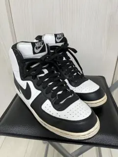 【NIKE】ナイキ TERMINATOR HIGH BASIC 25センチ