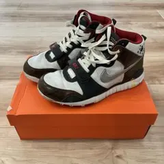 レア Nike Trainer Dunk ナイキ トレーナー ダンク 中国五輪のサムネイル
