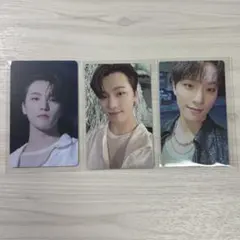 seventeen sector17 wevers盤 ディノ