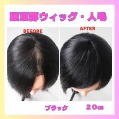 Item thumbnail for item ff57b28c-7207-4f8d-a3f6-32e14ea2e4c8