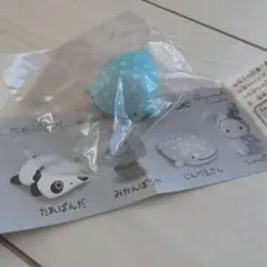 Item thumbnail for item a7f79b1c-bcf6-4c54-ae62-e68dc90560d0