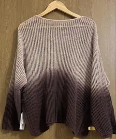 LEPSIM レプシム グラデーションメッシュ長袖トップス