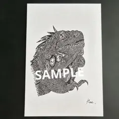 イグアナ ペン画 イラスト アート