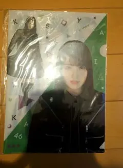 欅坂46 クリアファイル 菅井友香