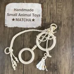 Item thumbnail for item 2e1a7574-c0f3-4956-860c-ab560c0769f0